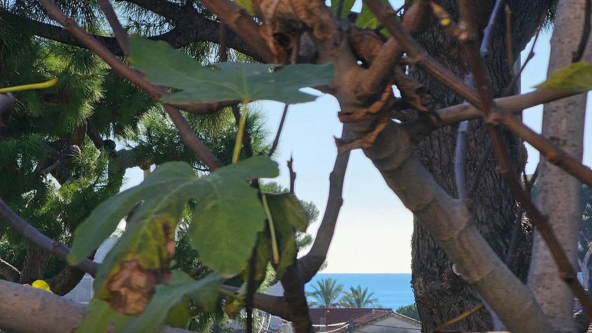 Detente Oceane S2 Proche De La Mer Wifi Clim Cagnes-sur-Mer Apartment