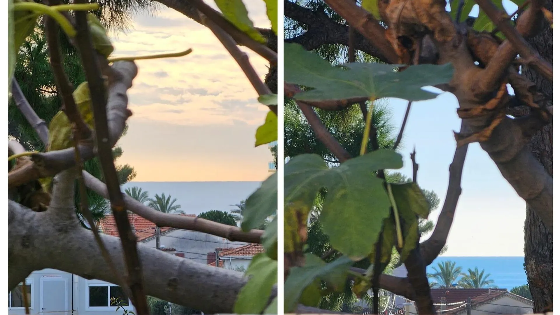 Detente Oceane S2 Proche De La Mer Wifi Clim Cagnes-sur-Mer France