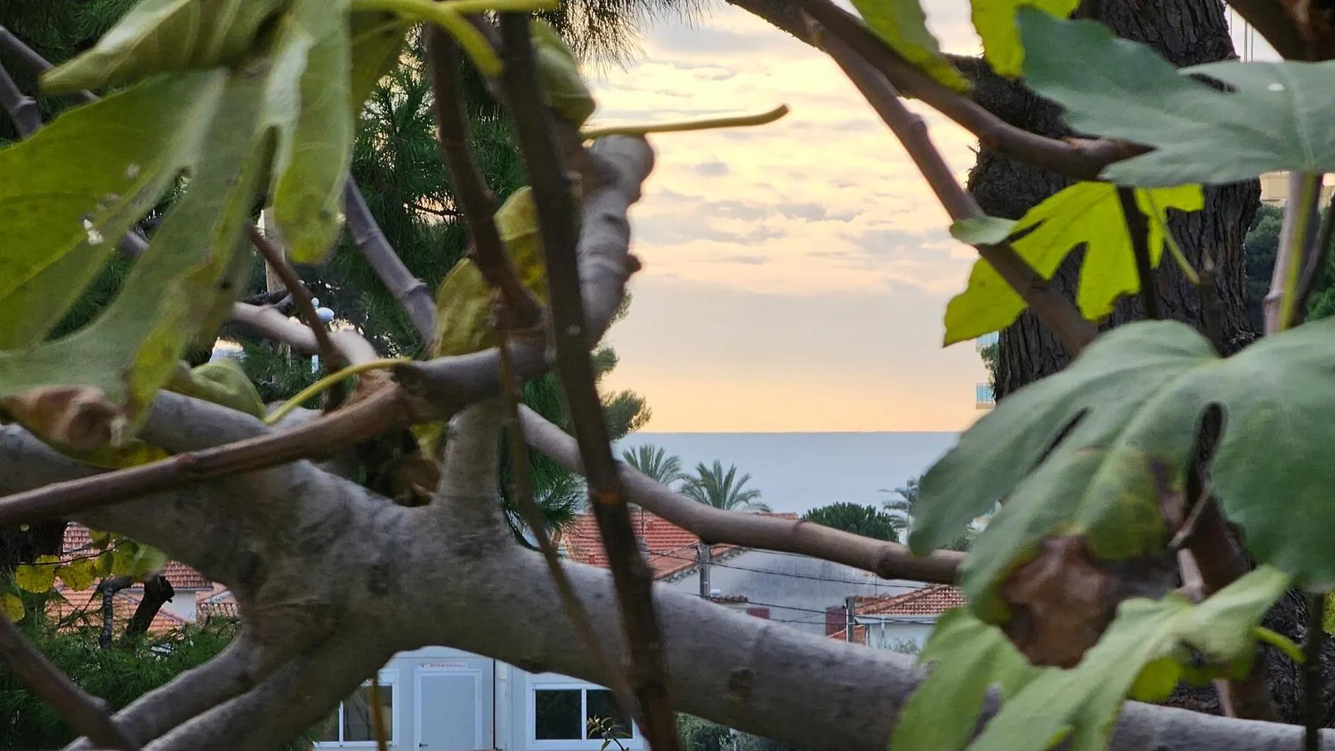 Detente Oceane S2 Proche De La Mer Wifi Clim Cagnes-sur-Mer 0*,